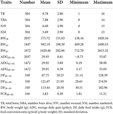 Genotype by heat conditions interaction effects on growth and litter traits in rabbits